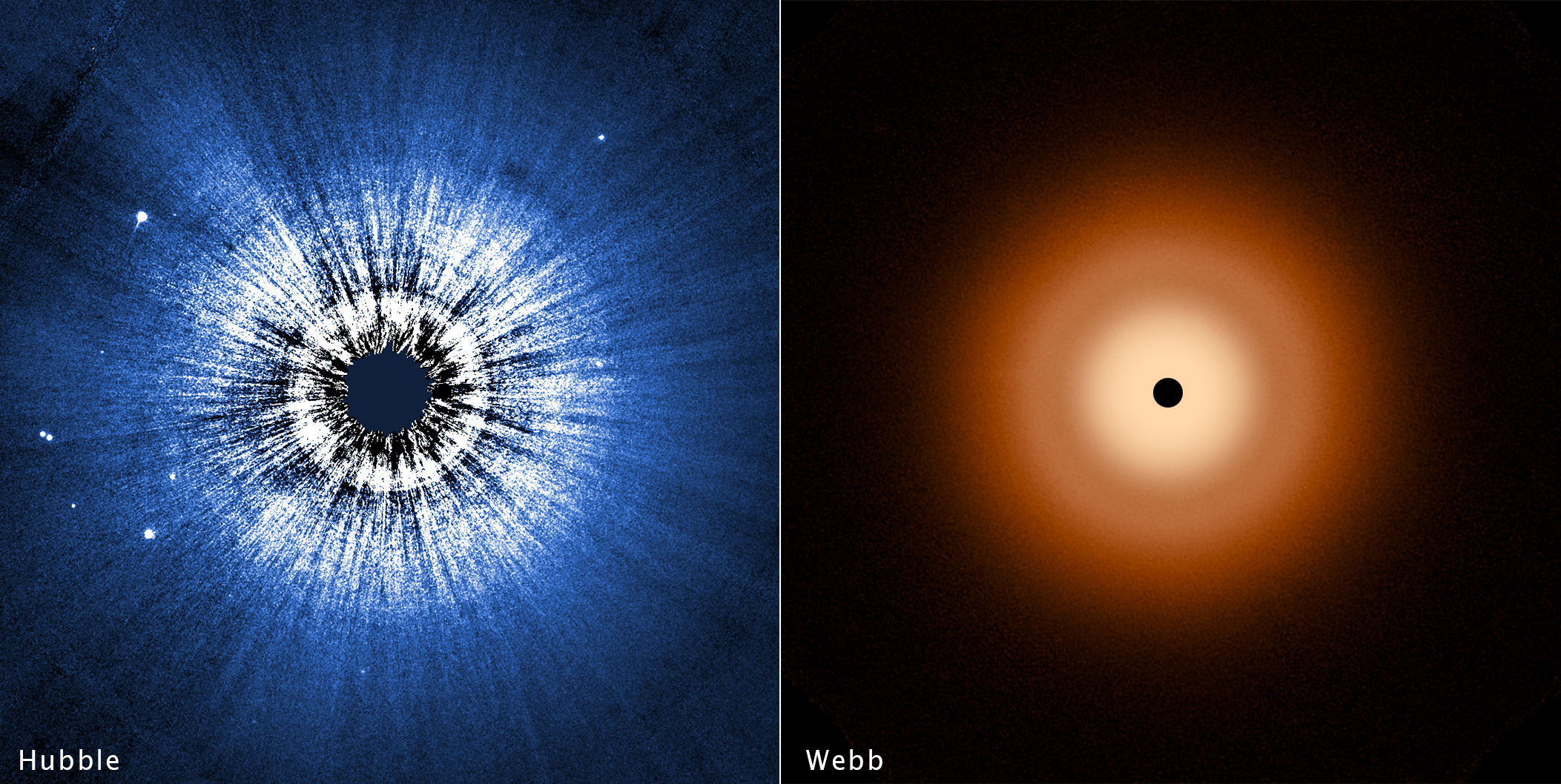Summer Triangle Corner: Vega